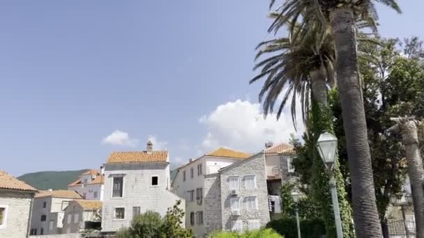 Green Palm Trees Grow Ancient Stone Houses High Quality Footage — Vídeo de Stock