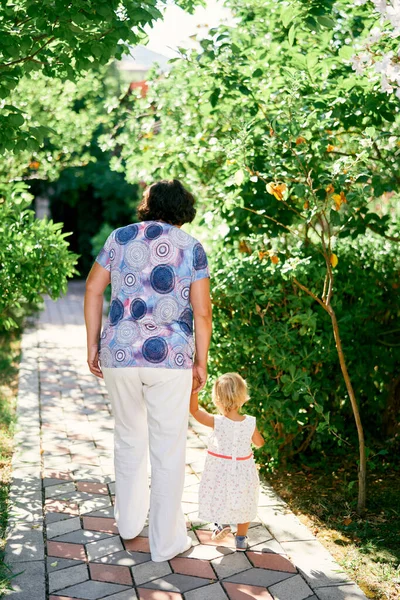 Woman leads little girl by the hand in the park. Back view. High quality photo