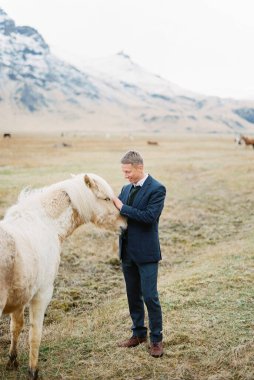 Bir adam vadideki çayırda bir atı okşar. İzlanda. Yüksek kalite fotoğraf
