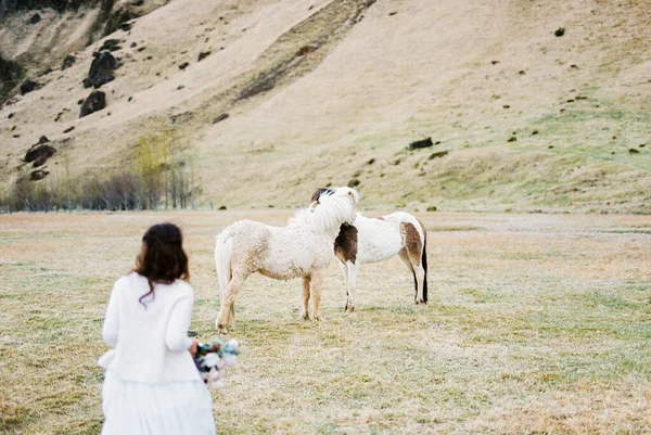 Bride White Dress Goes Horses Pasture Back View High Quality — Fotografia de Stock