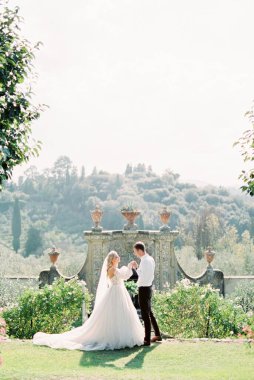Bride and groom stand on the lawn near the stone wall with decorative vases. High quality photo