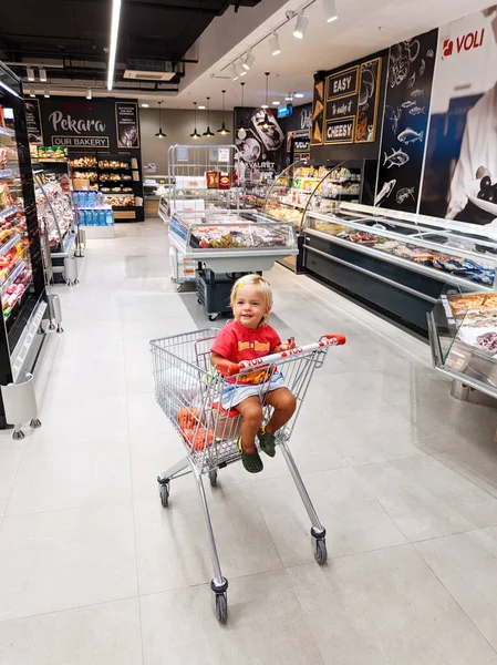 Little Girl Sits Grocery Cart Supermarket High Quality Photo — Stockfoto