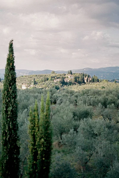 View of an old villa among green trees in a park against the backdrop of mountains. Florence, Italy. High quality photo