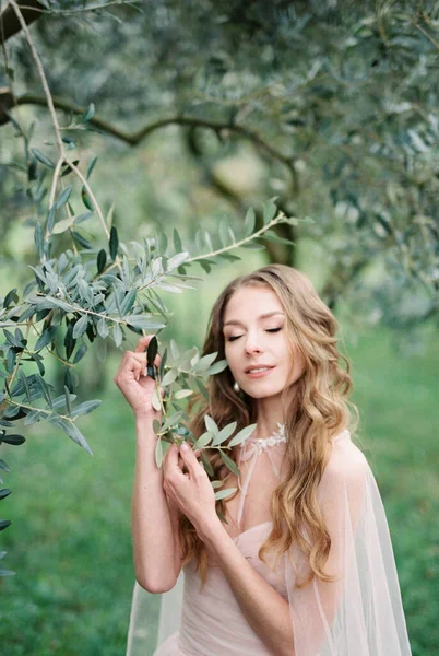 Bride Touches Her Hands Branches Green Olive Tree Grove High Zdjęcie Stockowe