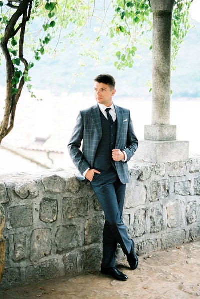 Man Plaid Suit Stands Stone Gazebo Garden High Quality Photo — Stock fotografie
