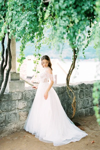 Bride White Dress Stands Stone Gazebo Column Entwined Greenery High — Stok Foto