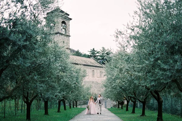 Bride Groom Walk Path Olive Grove Old Villa Como Italy — Stock Fotó