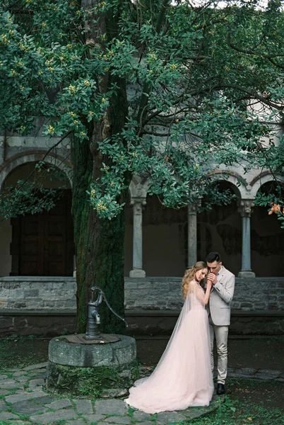 Groom Kisses Bride Hands Garden Old Villa Tree Como Italy — Stok Foto
