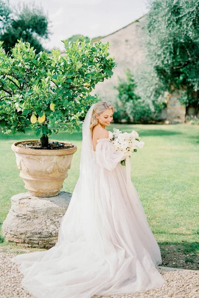 Bride White Dress Bouquet Roses Stands Tree Tub Garden High —  Fotos de Stock