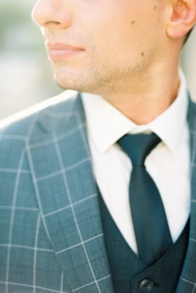 Man Gray Plaid Jacket Half Portrait High Quality Photo — Stockfoto