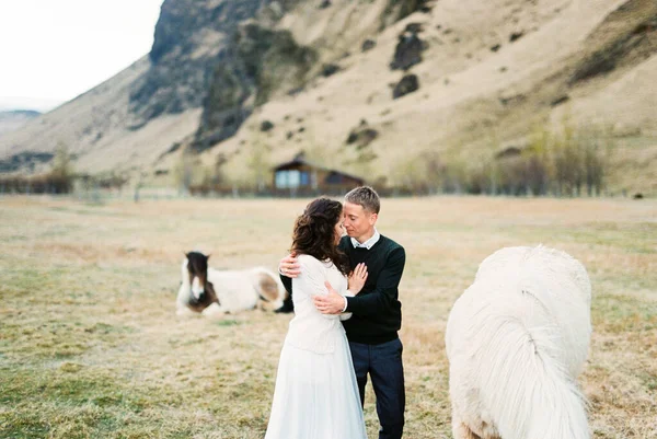 Groom Hugs Bride Pasture Grazing Horses High Quality Photo — Stockfoto