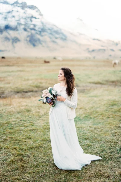 Bride Bouquet Flowers Pasture Mountain Valley Iceland High Quality Photo — Stok Foto