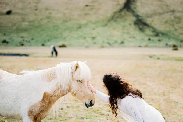 Bride Strokes White Red Horse Iceland High Quality Photo — Photo
