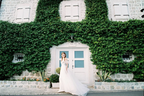Bride Stands Front Building Overgrown Ivy High Quality Photo —  Fotos de Stock
