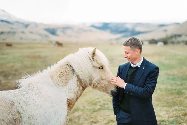 Man in a suit strokes a brown horse in a mountain valley. Iceland. High quality photo