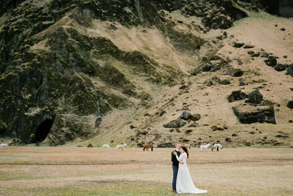 Groom Hugs Bride Backdrop Horses Grazing Foot Mountain Iceland High — Fotografia de Stock