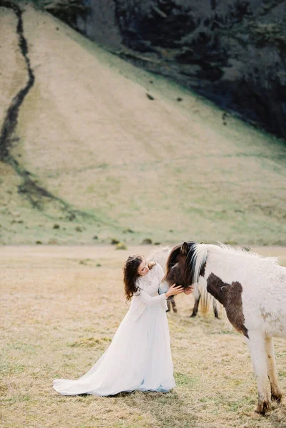 Bride Strokes Horse Mountain Valley Iceland High Quality Photo — Photo