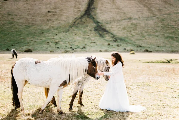 Bride White Dress Strokes Horses Foot Mountains Iceland High Quality — Fotografia de Stock