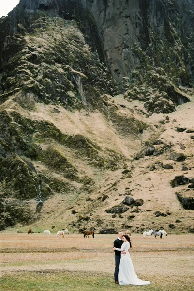 Groom Hugs Bride Backdrop Horses Grazing Mountain Iceland High Quality — Fotografia de Stock