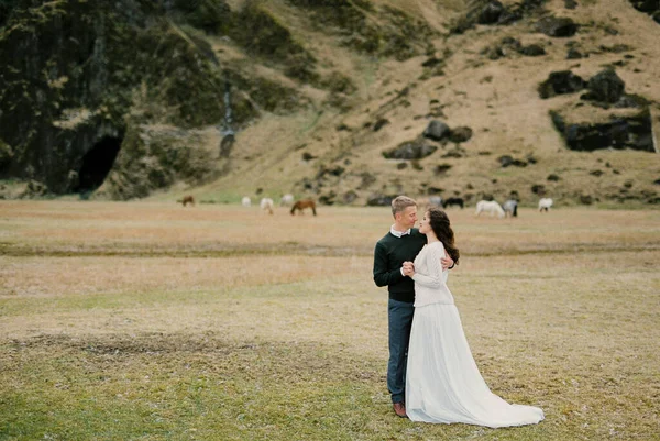 Groom Hugs Bride Backdrop Grazing Horses Iceland High Quality Photo — Fotografia de Stock