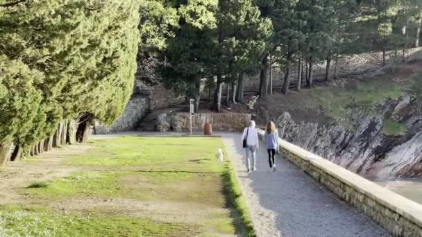 Couple Walking Path Green Park Dog High Quality Footage — Vídeos de Stock