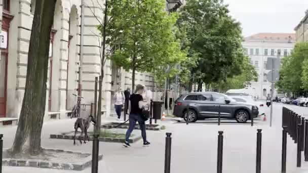 Girl Walks Dog Leash City Street High Quality Footage — стоковое видео