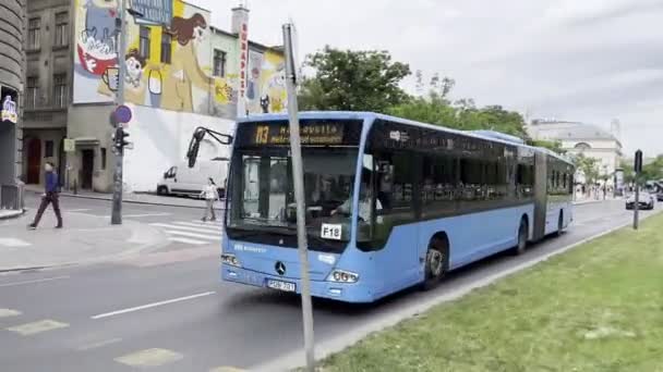 Long Blue Bus Rides City Street High Quality Footage — Wideo stockowe