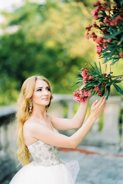 Bride Holds Her Hands Branch Flowering Pink Tree High Quality — Stock fotografie