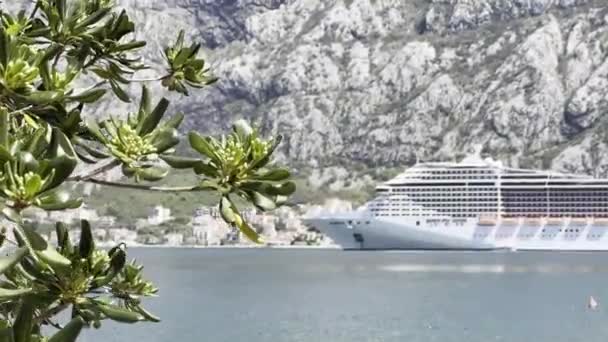 Huge Cruise Liner Stands Pier Sea Foot Mountains High Quality — Videoclip de stoc
