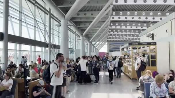 Many Different People Airport Lounge High Quality Footage — Vídeo de Stock