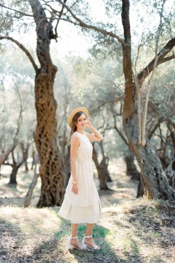 Girl in a straw hat and dress walks through an olive grove. High quality photo