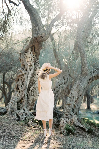 Girl Stands Olive Grove Front Tree Holding Straw Hat Her — 图库照片