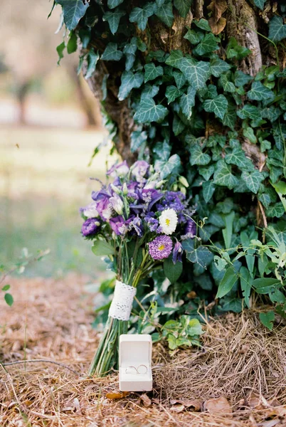 Box Wedding Rings Stands Next Bouquet Ivy Covered Tree High — Fotografia de Stock
