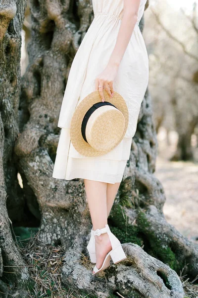 Straw Hat Hand Woman Standing Roots Old Tree High Quality — 图库照片