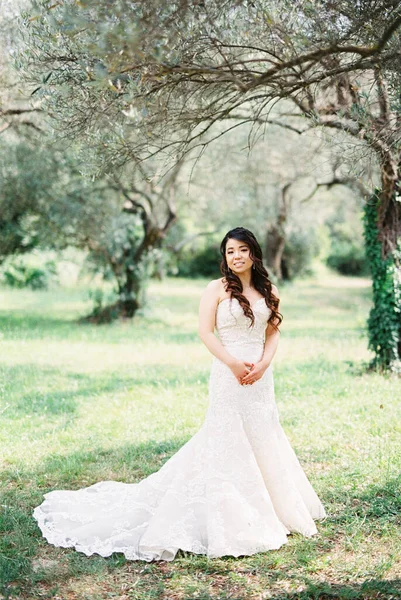 Bride White Mermaid Dress Stands Tree Olive Grove High Quality — Fotografia de Stock