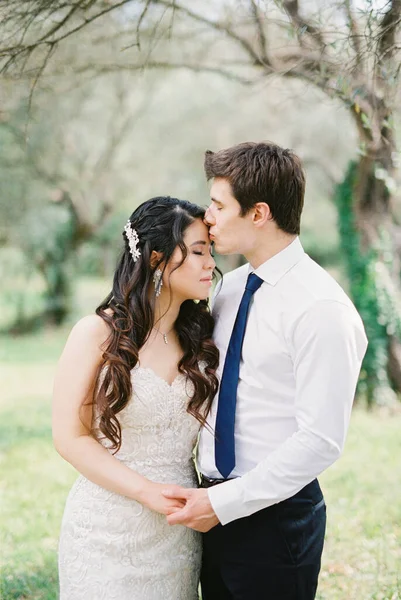 Groom kisses bride on the forehead in an olive grove. High quality photo