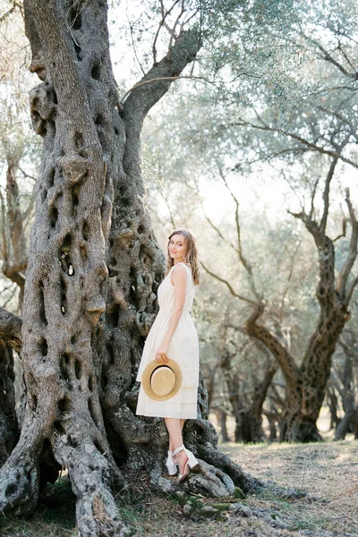 Young Woman Straw Hat Her Hand Stands Old Olive Tree — Fotografia de Stock