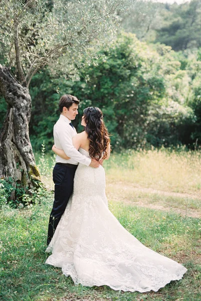 Groom Hugs Bride Mermaid Dress Standing Olive Tree High Quality — Stockfoto