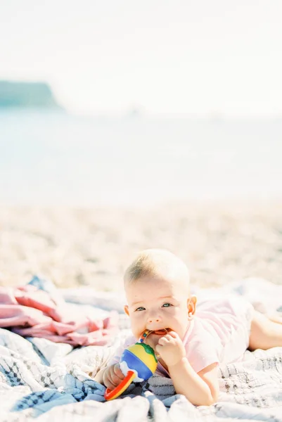 Baby Lies His Tummy Beach Gnaws Rattle High Quality Photo —  Fotos de Stock