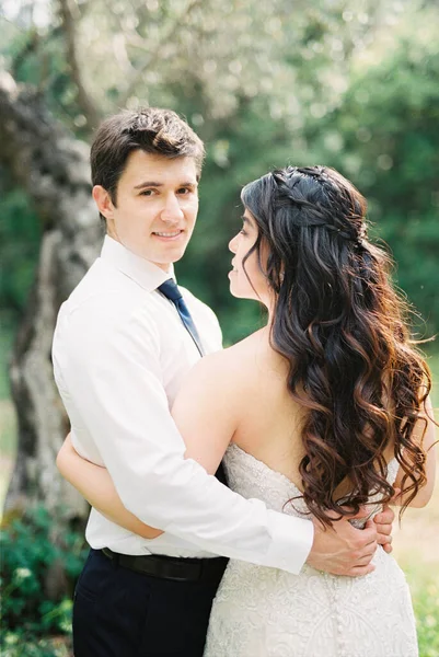 Groom Hugs Bride Olive Tree High Quality Photo — 스톡 사진