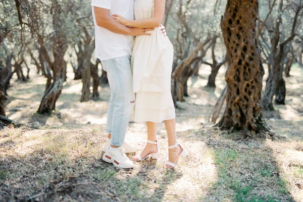 Man Woman Hugging Olive Grove Cropped High Quality Photo — ストック写真