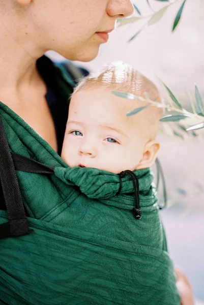 Sleepy baby in a mother sling. Portrait. High quality photo