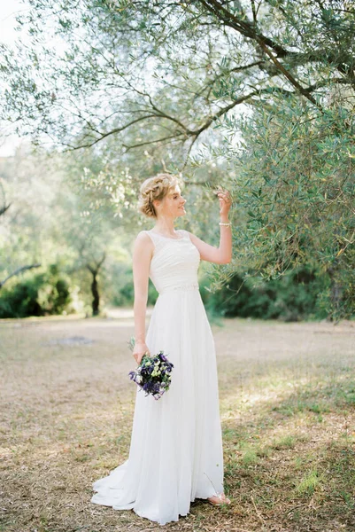 Bride Bouquet Flowers Stands Olive Tree High Quality Photo — Stok Foto