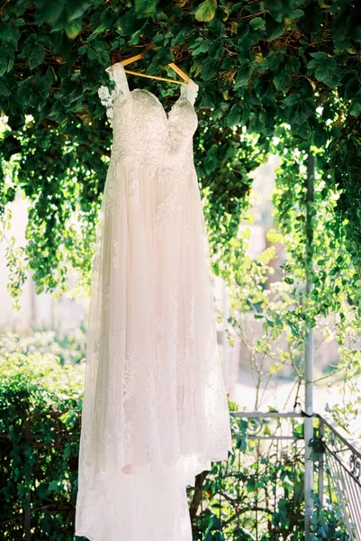 White Wedding Dress Hangs Wooden Hanger Tree Green Foliage High — Stock Photo, Image