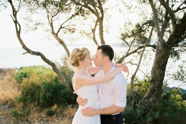 Bride Groom Hugging Almost Kissing Tree High Quality Photo — Stok Foto