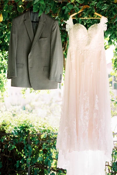Bride Dress Groom Jacket Hang Hangers Garden Tree High Quality —  Fotos de Stock