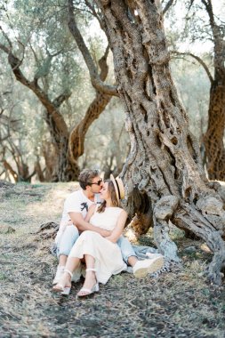 Man kisses woman on the forehead while sitting under an olive tree. High quality photo