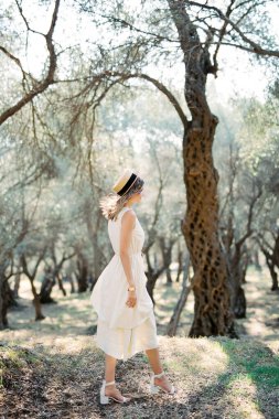 Young woman in a straw hat walks through an olive grove. High quality photo