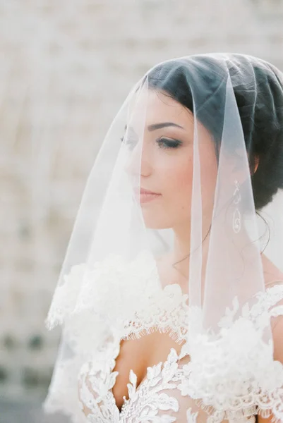 Menyasszony Fehér Csipke Ruhában Fátyollal Portré Kiváló Minőségű Fénykép — Stock Fotó