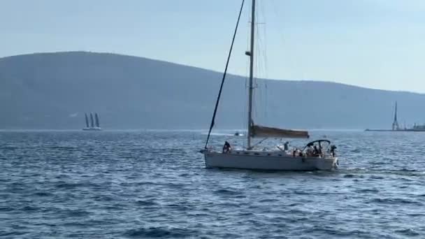 人々は朝の湾でヨットに乗る 高品質4K映像 — ストック動画